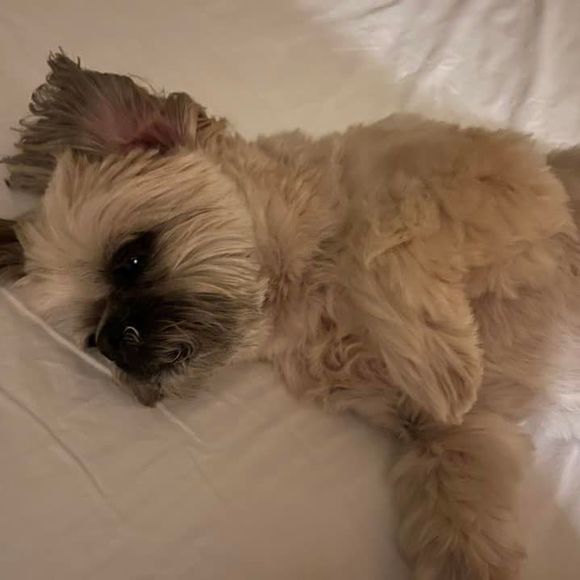 Meet your Posher, Kim - Picture 1 of 1